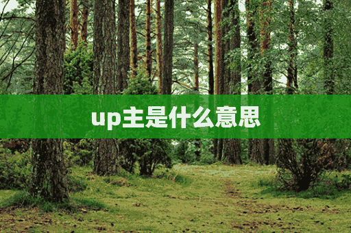 up主是什么意思(up主是什么意思呢)